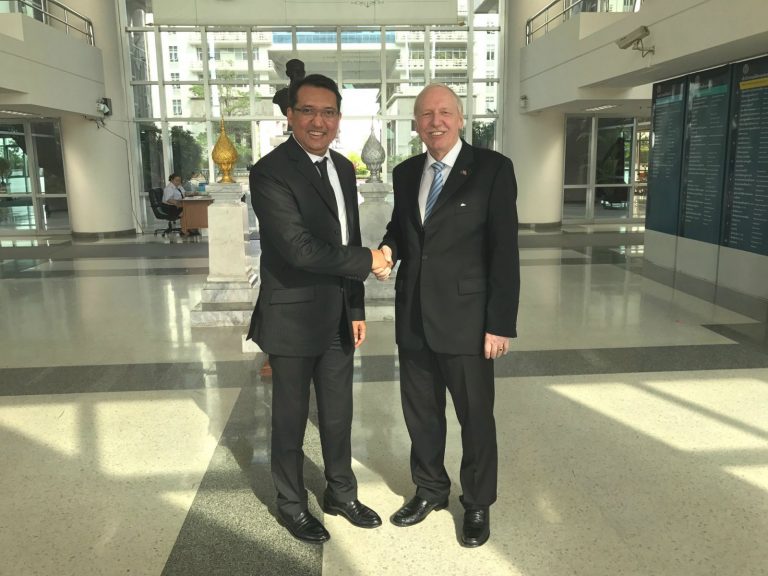 DIP Consultation 2017