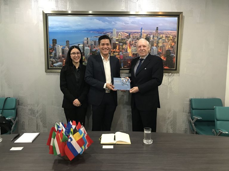 Foreign Investors Perception