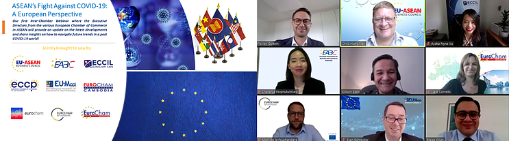 ASEAN’s Fight Against COVID-19: A European Perspective