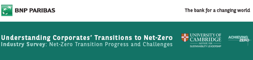 Industry Survey: Net-Zero Transition Progress and Challenges