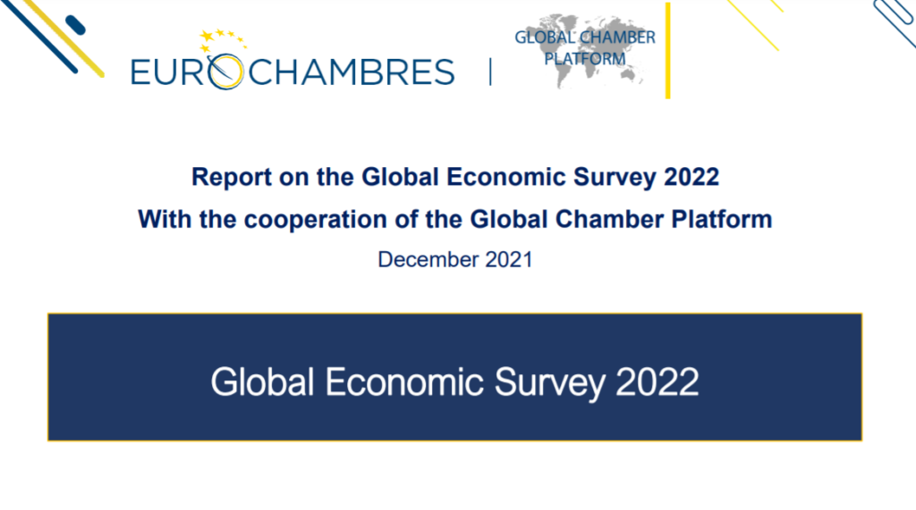 Global Economic Survey 2022
