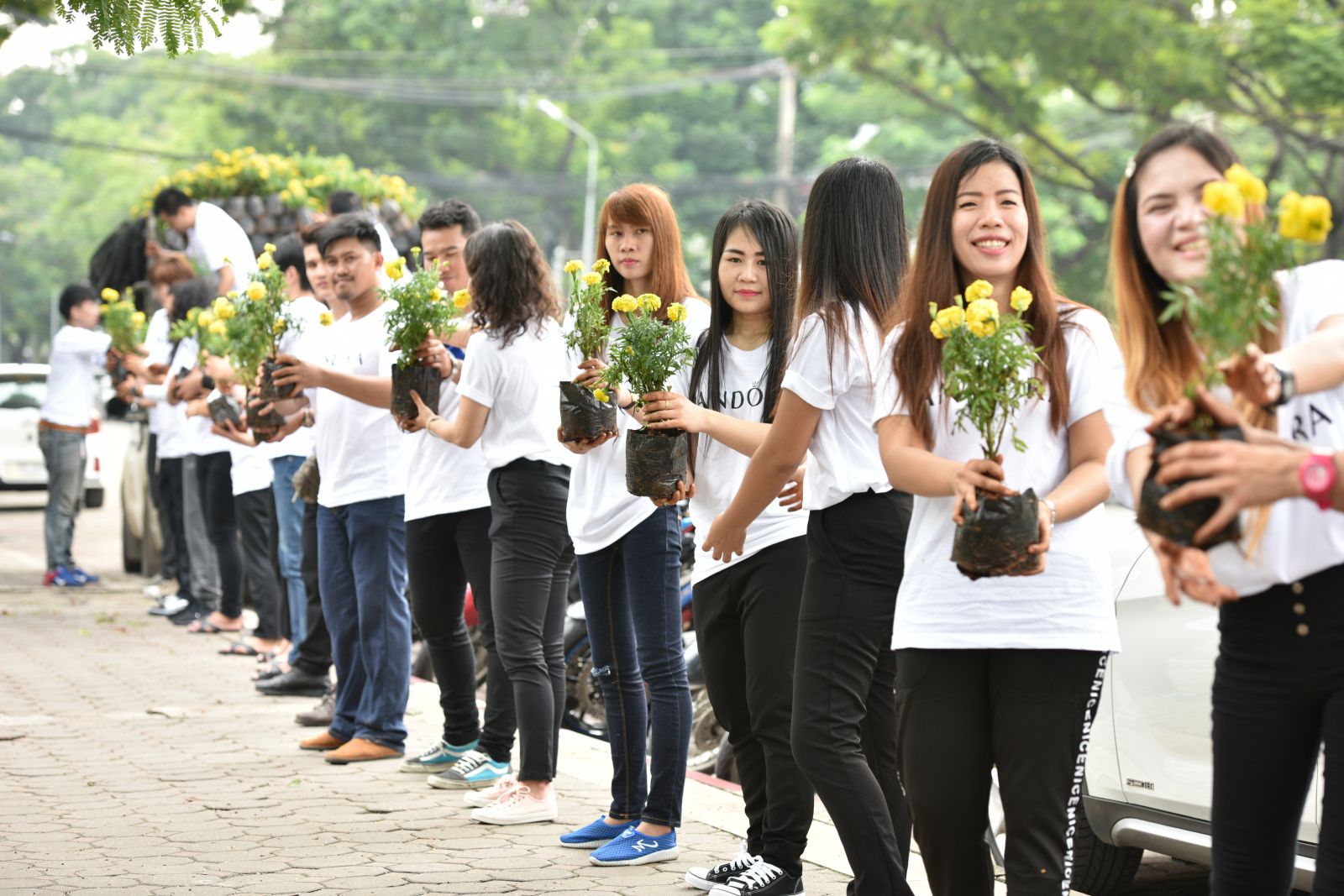 PANDORA plants marigolds in remembrance of His Majesty King Bhumibol Adulyadej PANDORA plants marigolds in remembrance of His Majesty King Bhumibol Adulyadej